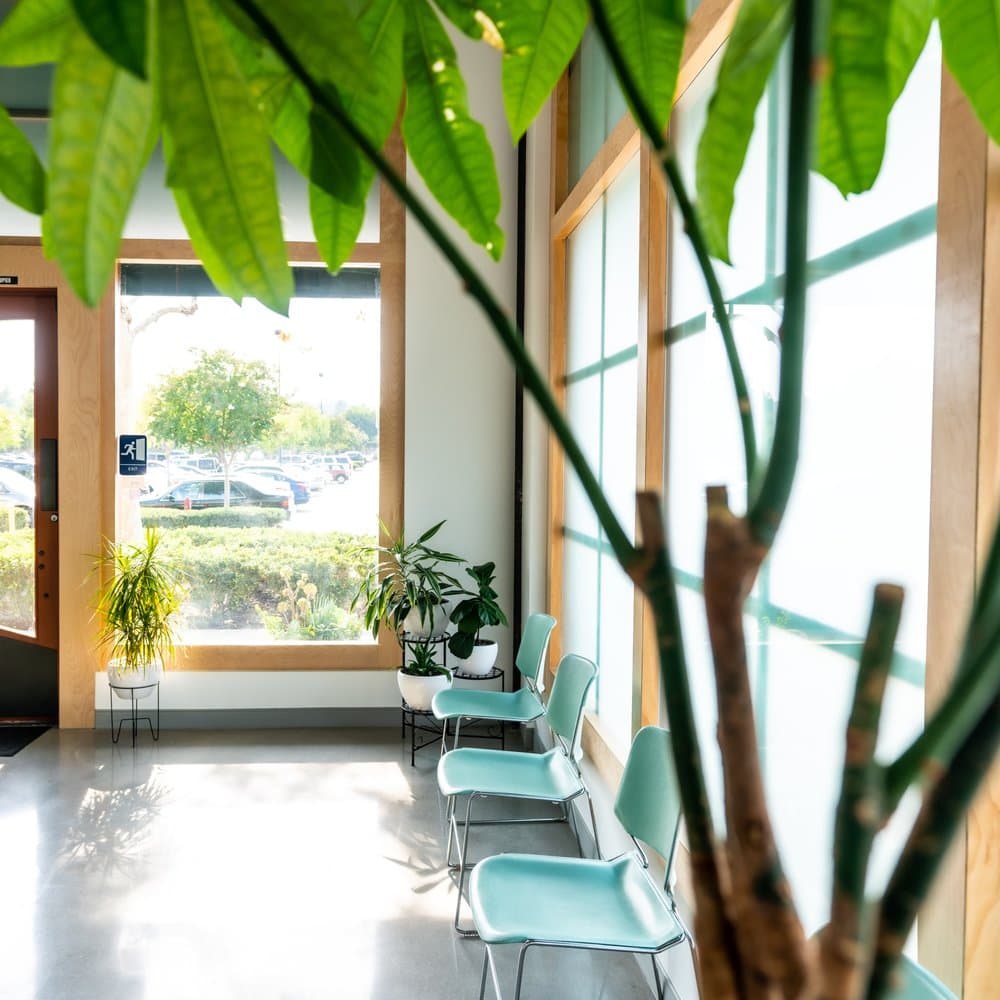 Dental Matrix entrance and waiting area